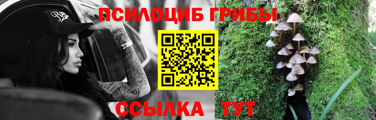 Галлюциногенные грибы Cubensis Димитровград