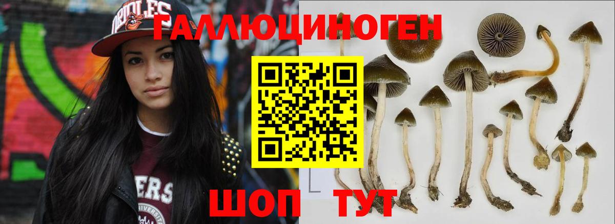 Димитровград  Галлюциногенные грибы Psilocybine cubensis  Галлюциногенные грибы мухоморы  Вход с VPN 